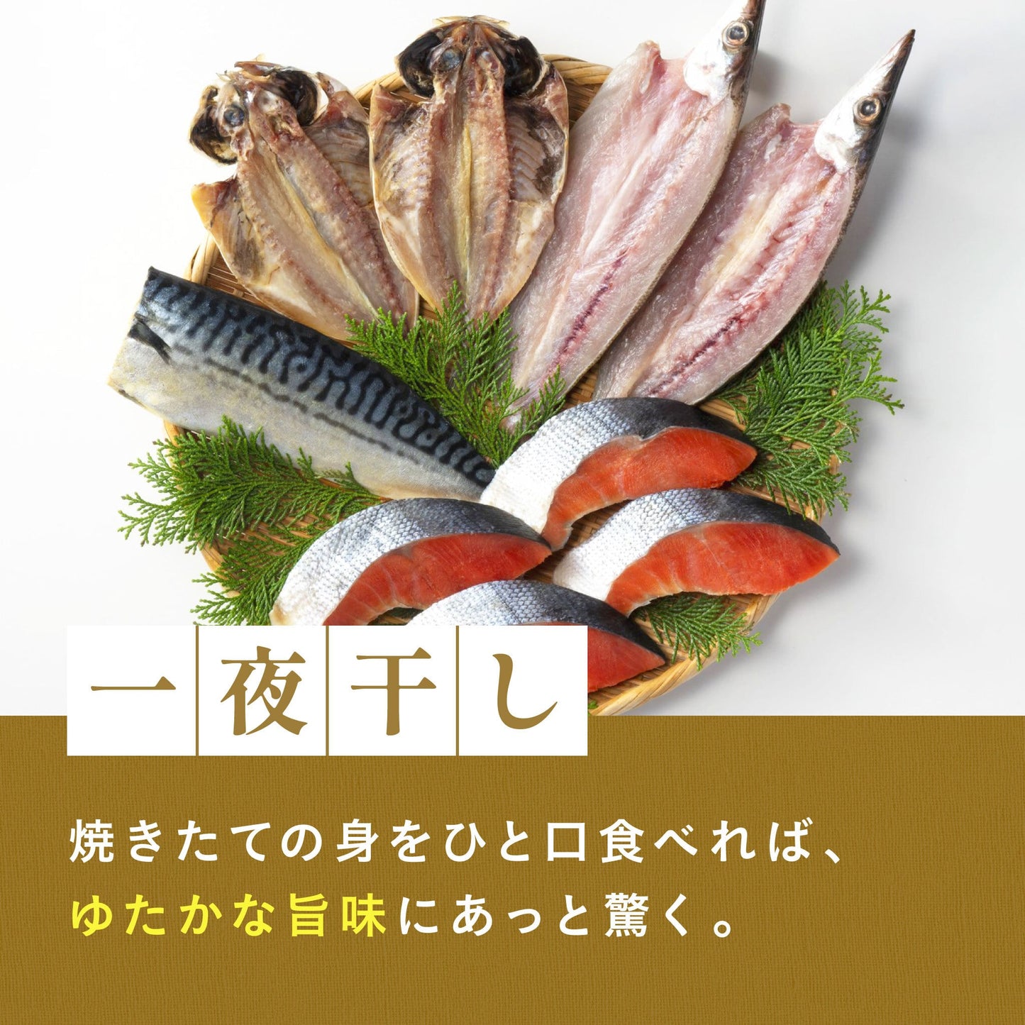 一夜干・鮭詰合せ[冷凍]